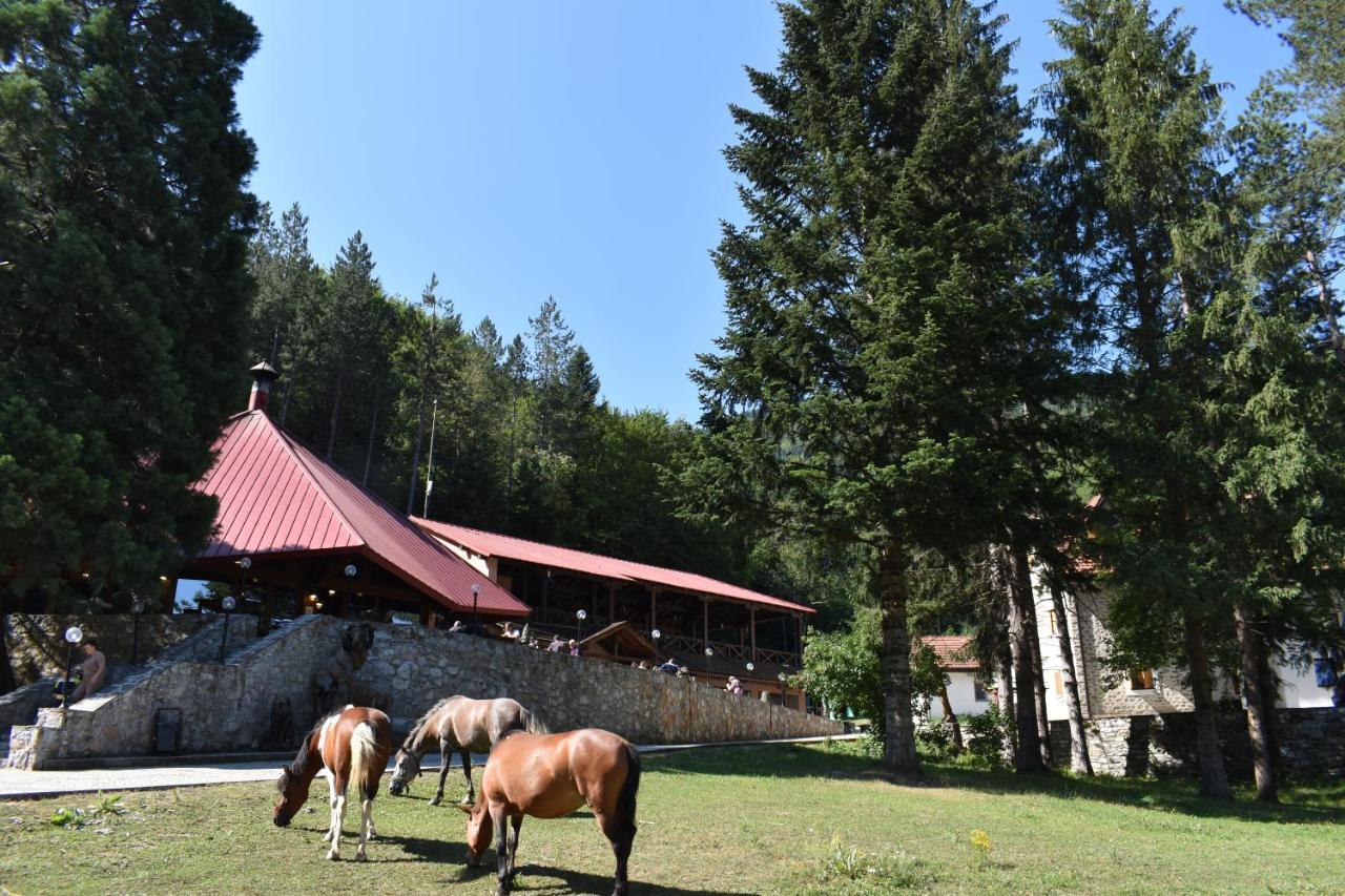 Hotel Korab Trnica Zewnętrze zdjęcie